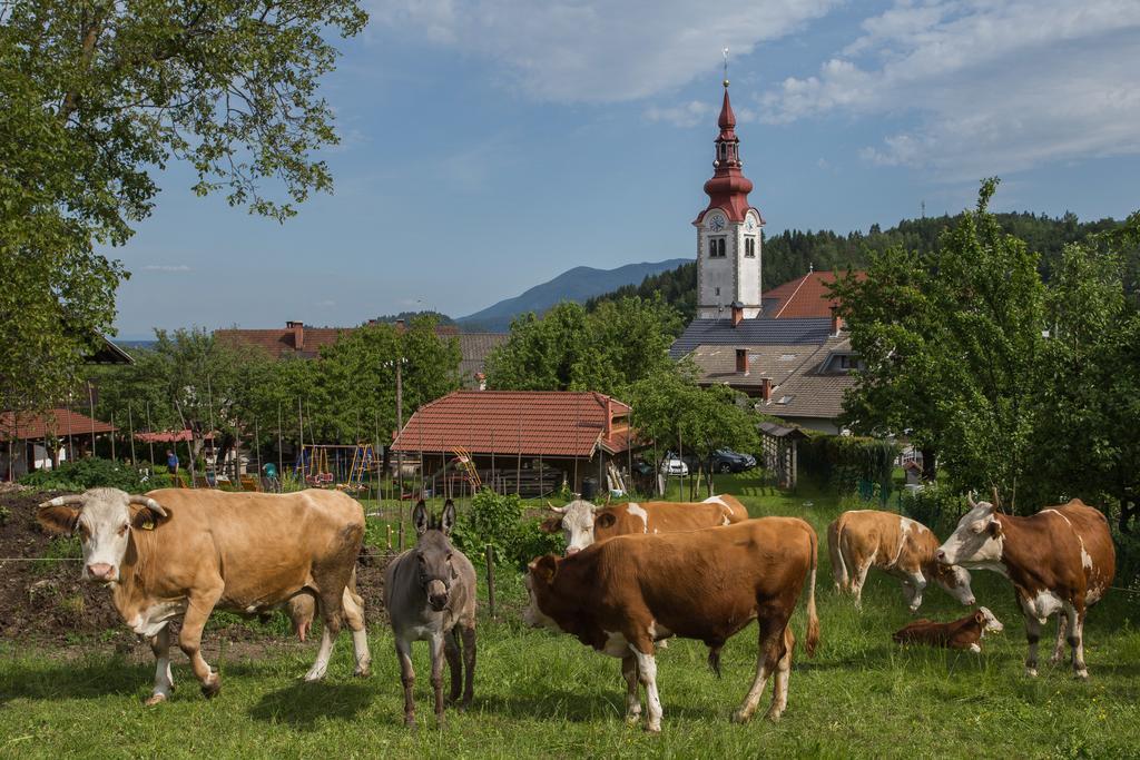 Bio Turisticna Kmetija Frcej-Zupan Villa Bled Bagian luar foto