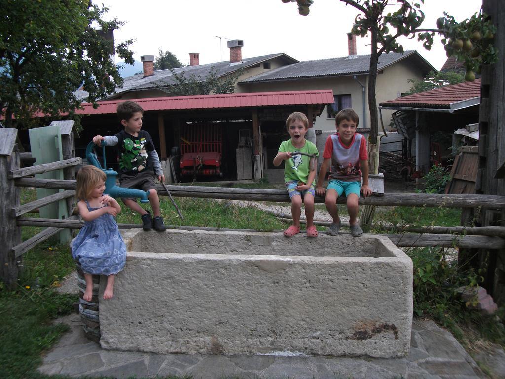 Bio Turisticna Kmetija Frcej-Zupan Villa Bled Bagian luar foto